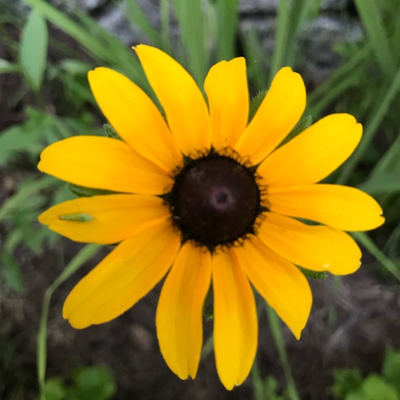 Meet your Posher, Michelle - Picture 6 of 10